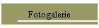 Fotogalerie